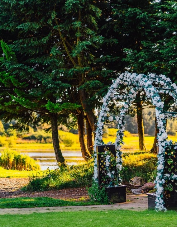 Wedding Arch